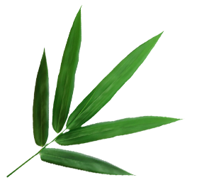 Ningguo Kuntai Bambou et Bois Co., Ltd.